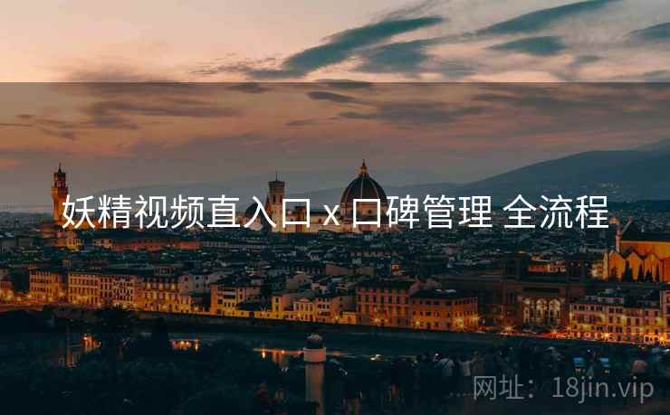 妖精视频直入口 x 口碑管理 全流程