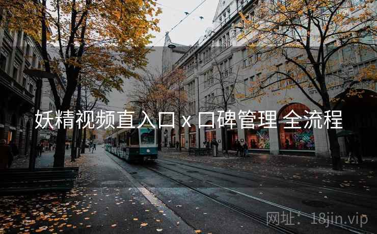 妖精视频直入口 x 口碑管理 全流程