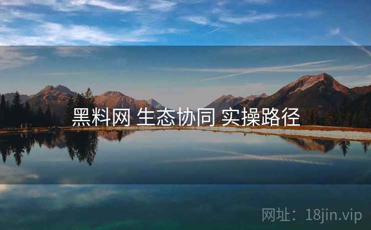 黑料网 生态协同 实操路径