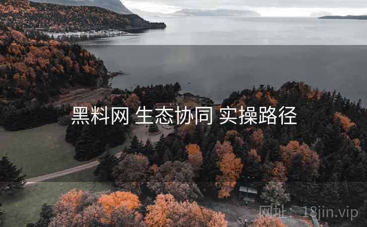 黑料网 生态协同 实操路径