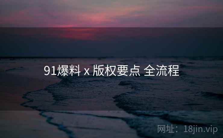 91爆料 x 版权要点 全流程