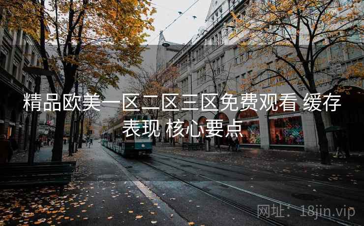 精品欧美一区二区三区免费观看 缓存表现 核心要点