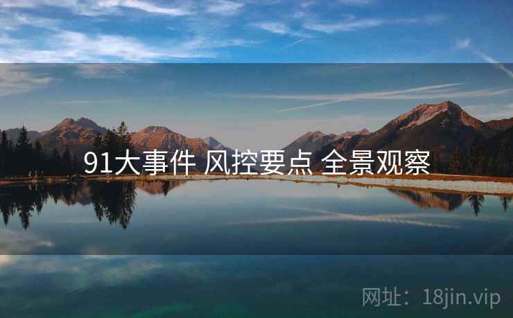 91大事件 风控要点 全景观察