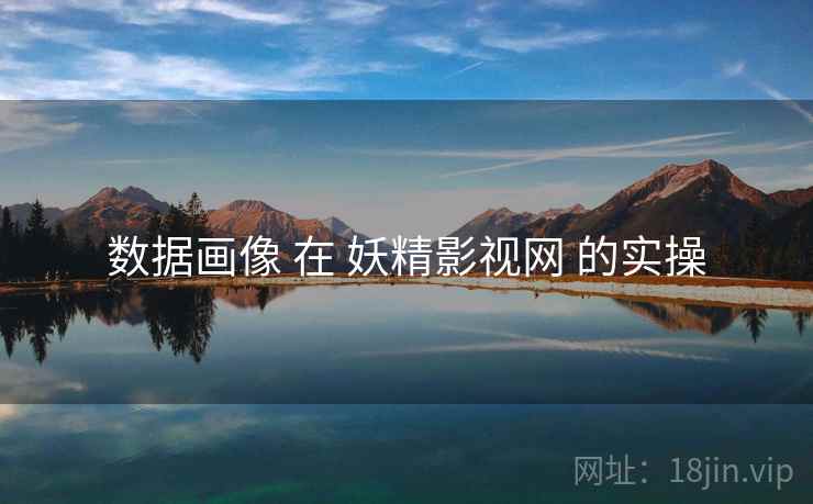 数据画像 在 妖精影视网 的实操