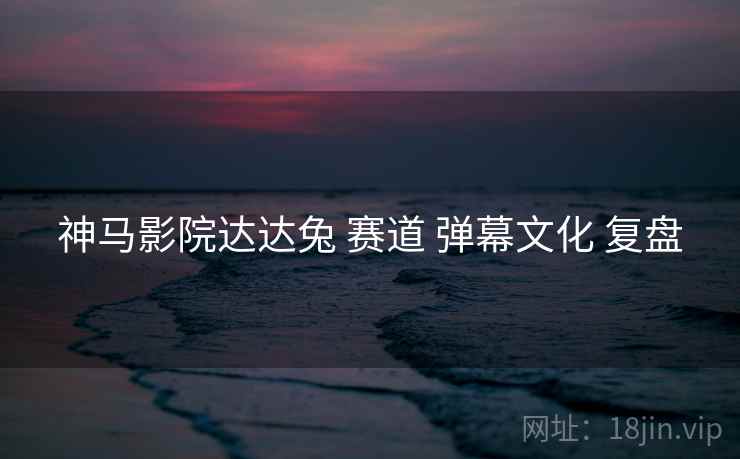 神马影院达达兔 赛道 弹幕文化 复盘