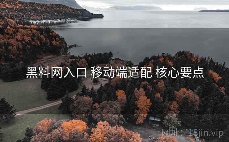 黑料网入口 移动端适配 核心要点