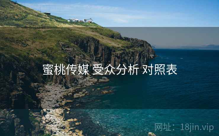 蜜桃传媒 受众分析 对照表