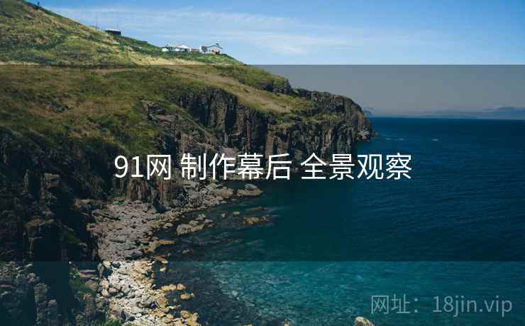 91网 制作幕后 全景观察