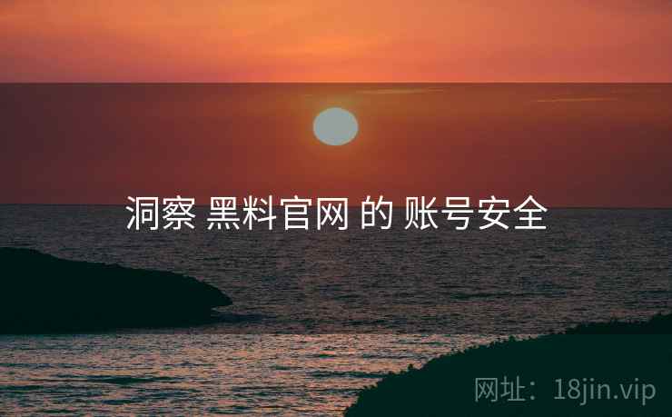 洞察 黑料官网 的 账号安全
