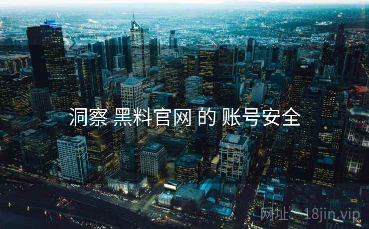 洞察 黑料官网 的 账号安全