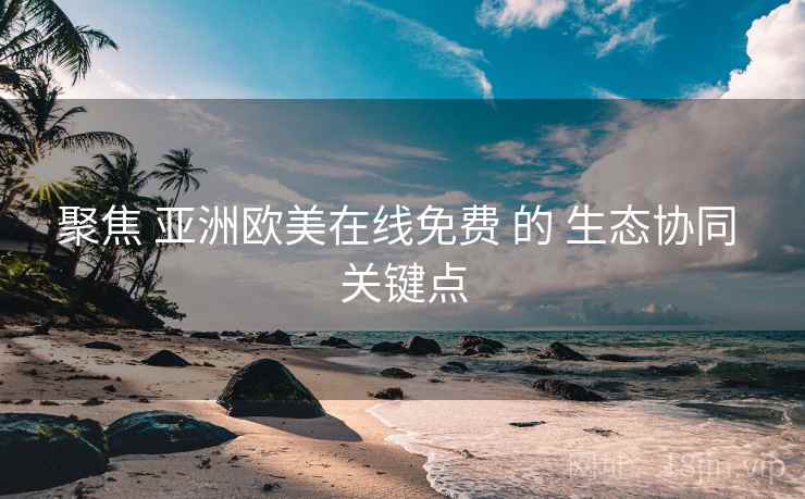 聚焦 亚洲欧美在线免费 的 生态协同 关键点