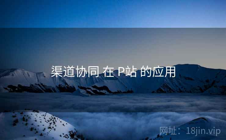 渠道协同 在 P站 的应用