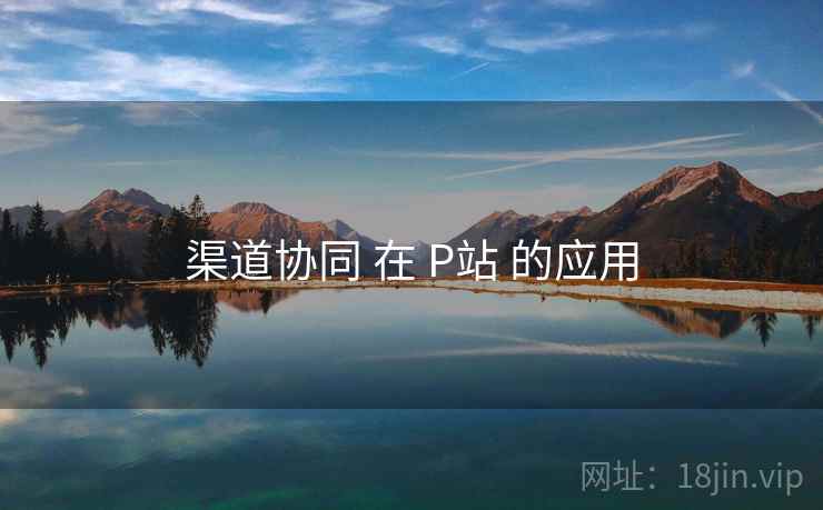 渠道协同 在 P站 的应用