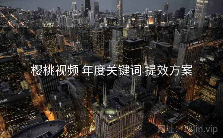 樱桃视频 年度关键词 提效方案