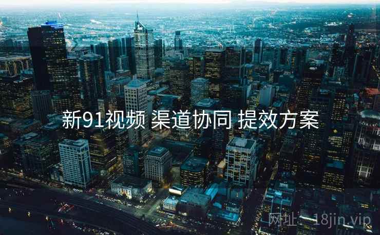 新91视频 渠道协同 提效方案
