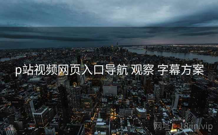 p站视频网页入口导航 观察 字幕方案