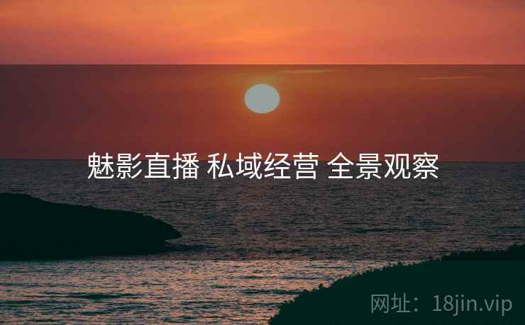 魅影直播 私域经营 全景观察