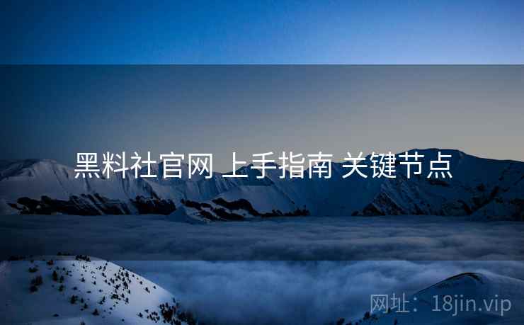 黑料社官网 上手指南 关键节点