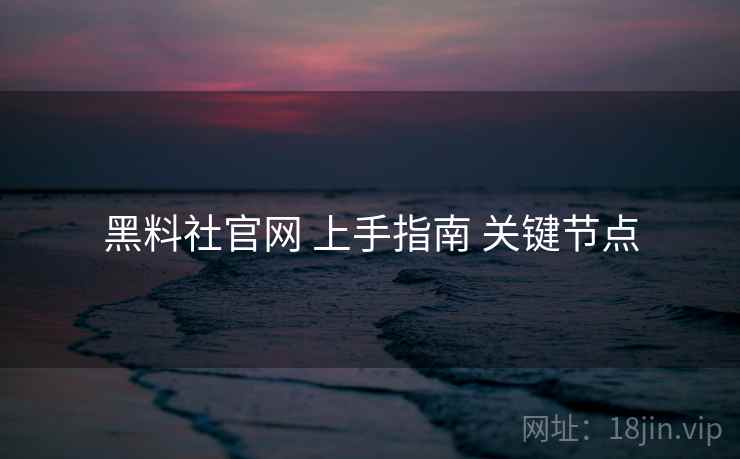黑料社官网 上手指南 关键节点