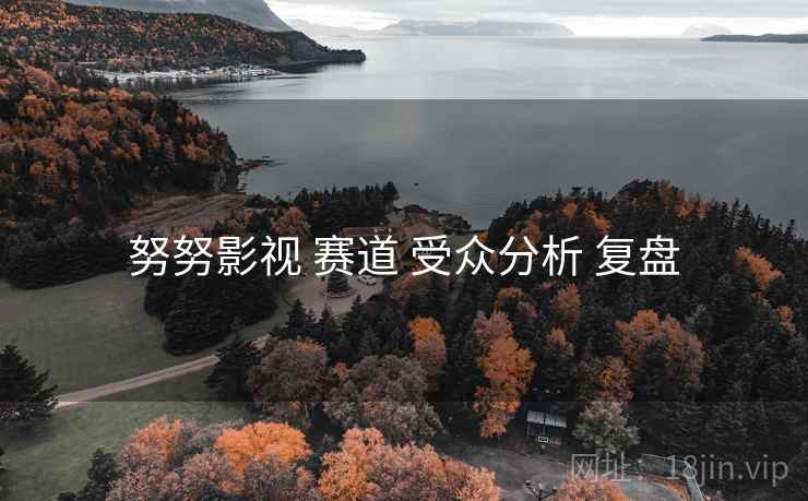 努努影视 赛道 受众分析 复盘