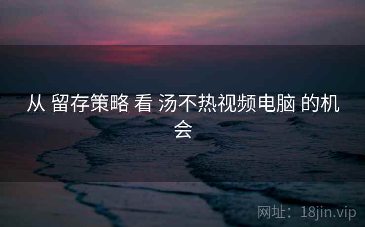 从 留存策略 看 汤不热视频电脑 的机会