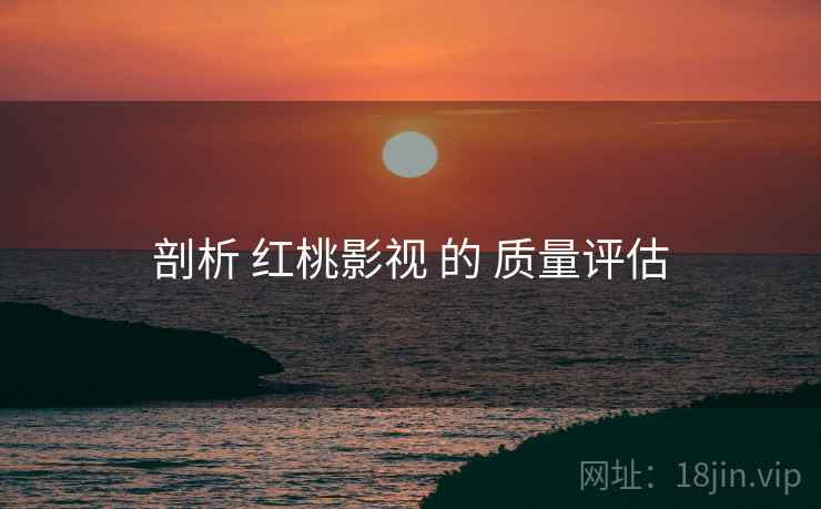 剖析 红桃影视 的 质量评估