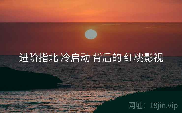 进阶指北 冷启动 背后的 红桃影视