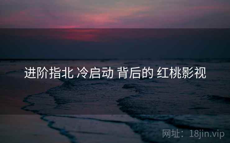 进阶指北 冷启动 背后的 红桃影视
