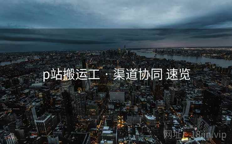 p站搬运工 · 渠道协同 速览