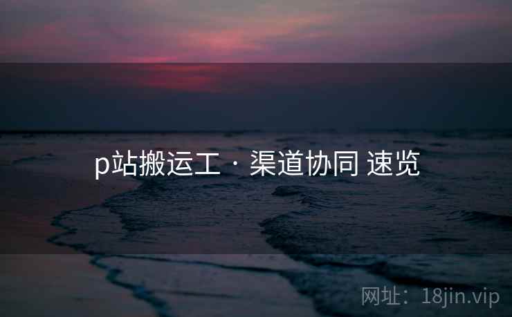 p站搬运工 · 渠道协同 速览