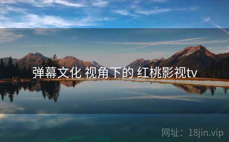 弹幕文化 视角下的 红桃影视tv