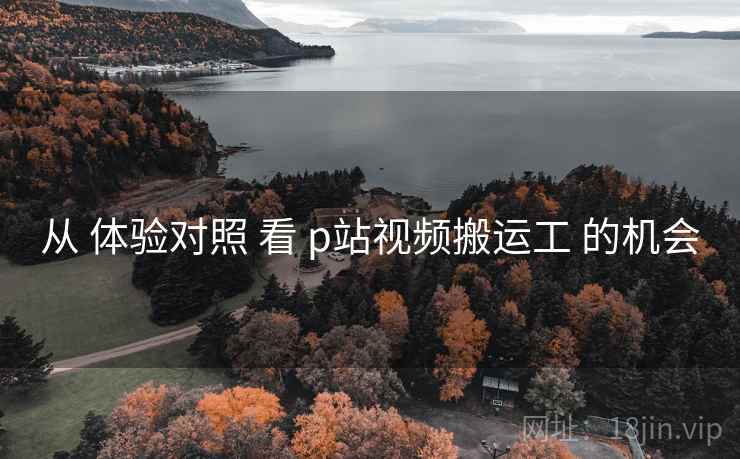 从 体验对照 看 p站视频搬运工 的机会